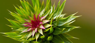 24小时轰炸对方的电话软件